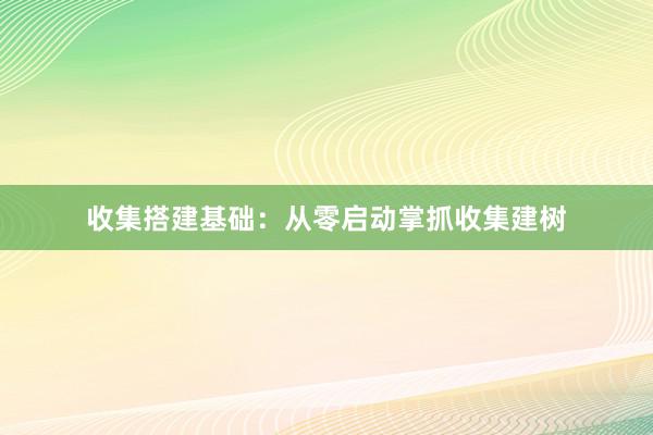 收集搭建基础：从零启动掌抓收集建树