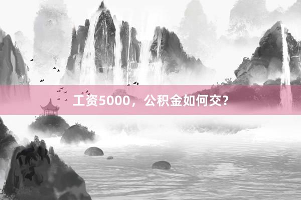 工资5000，公积金如何交？