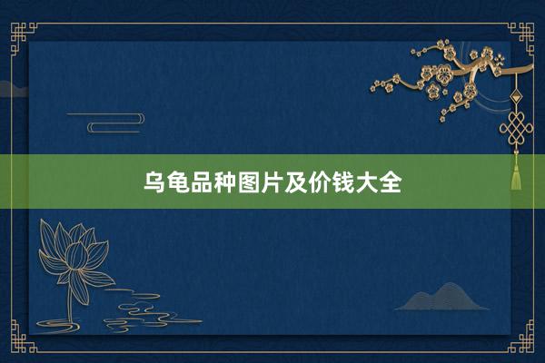乌龟品种图片及价钱大全