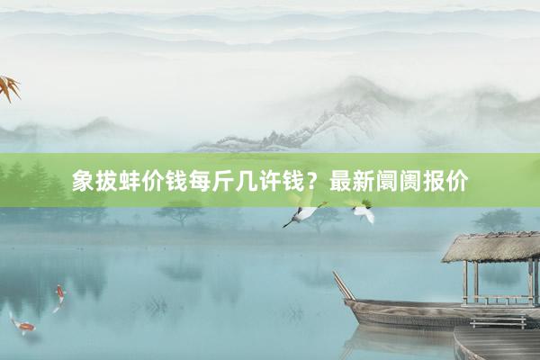 象拔蚌价钱每斤几许钱？最新阛阓报价